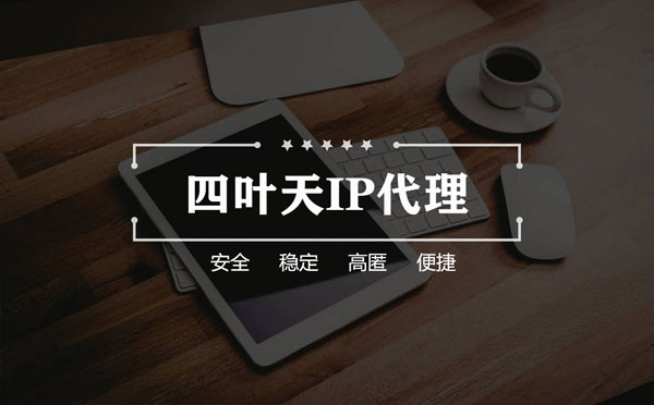 【启东代理IP】如何快速搭建代理IP？怎么检查代理的效果？